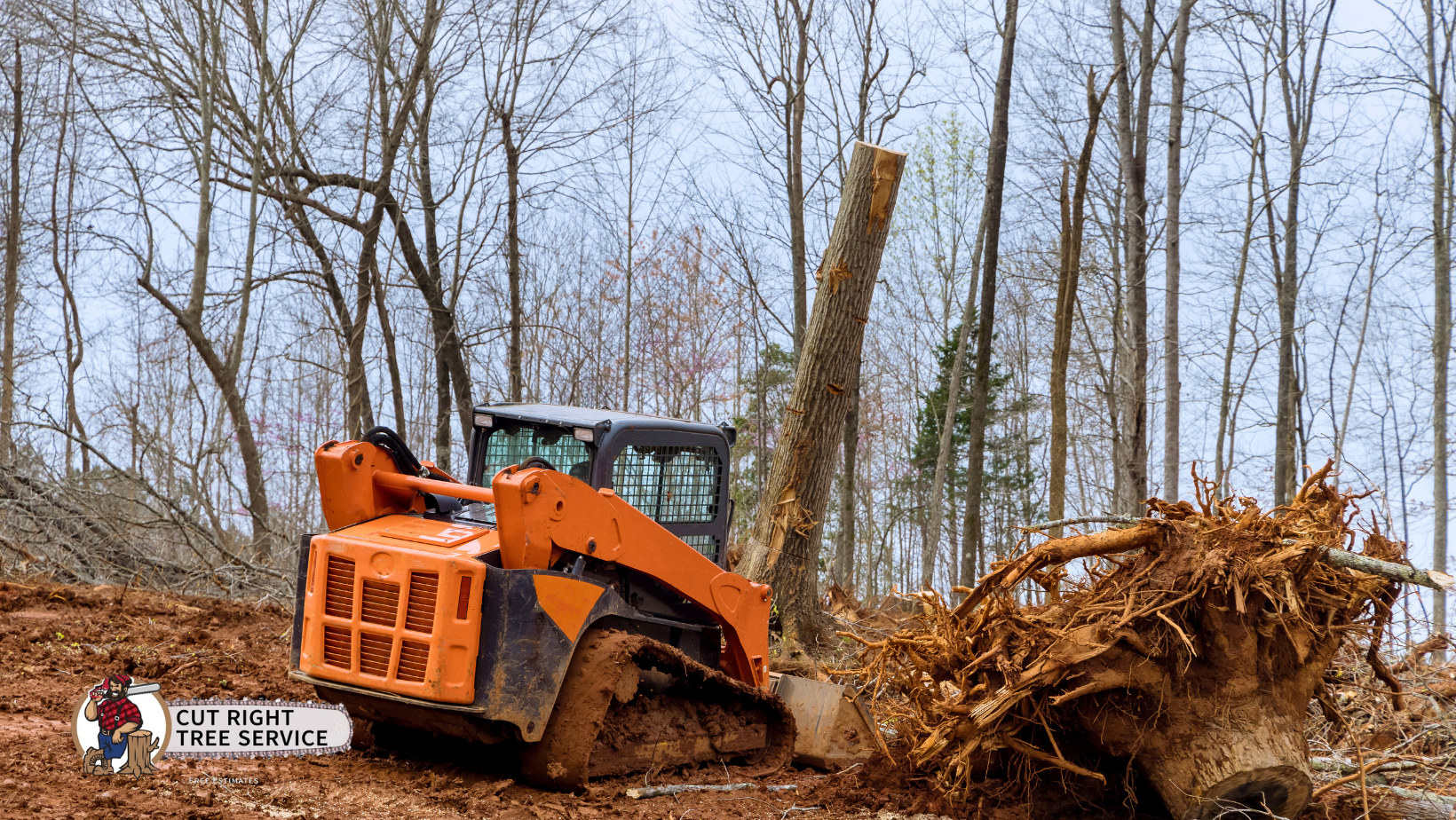 A bulldozer is cutting down a tree in the woods.