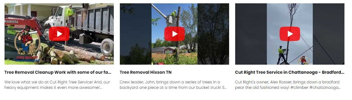 see us in action view of youtube videos of the cutright team in action