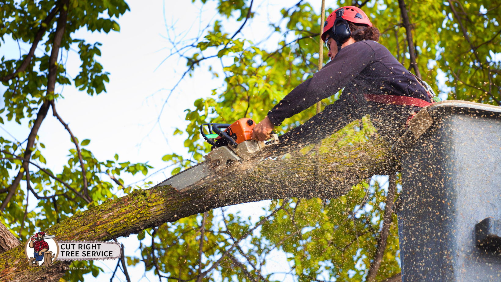 A man is cutting a tree branch with a chainsaw.