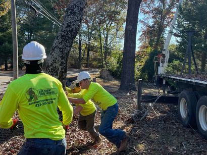 Cut Right Tree Service Team 