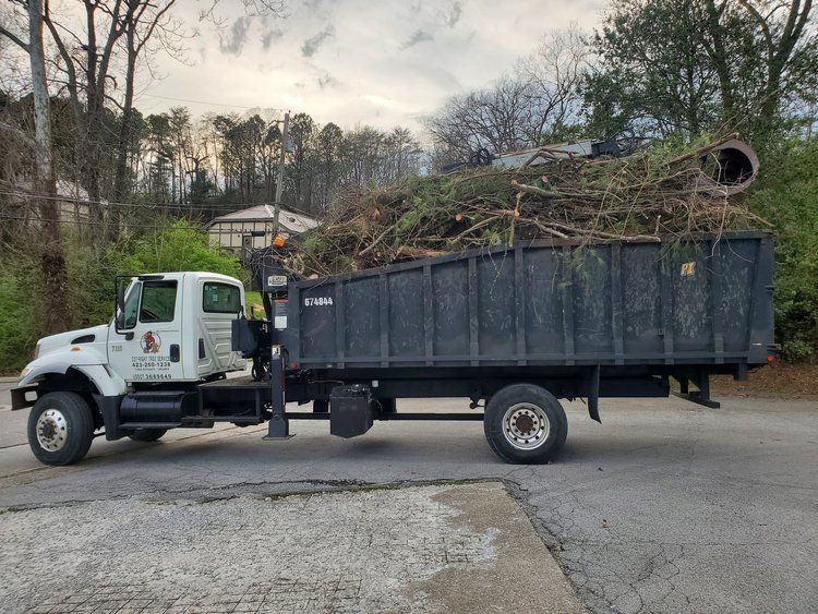 Tree Service Chattanooga TN | Cut Right Tree Service