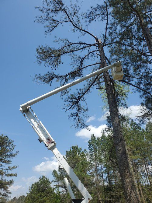 Cut Right Tree Service Crane services