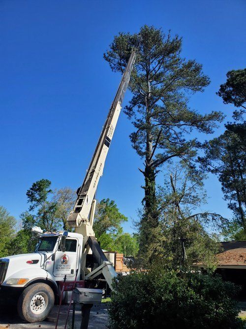 Cut Right Tree Service A view of a tree service crane