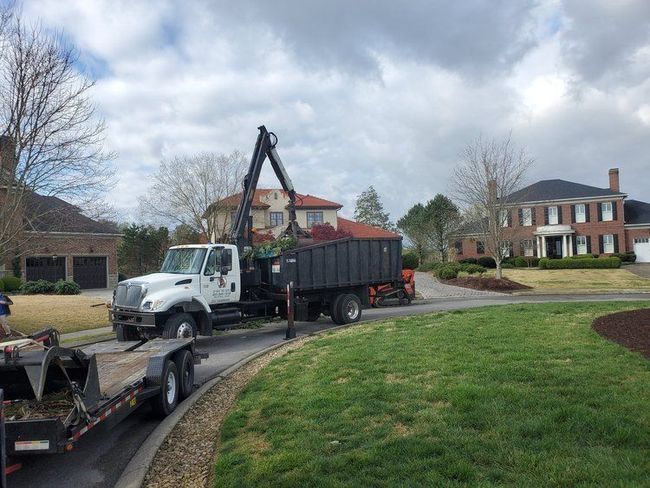 Cut Right Tree Service Tree Trimmer