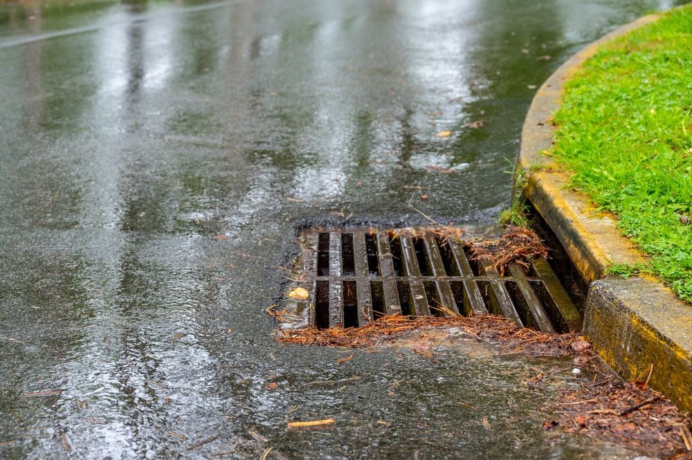 Rainy Street Curb with A Storm Drain Grate and Wet Pavement — Hinch Plumbing In Breakwater, VIC