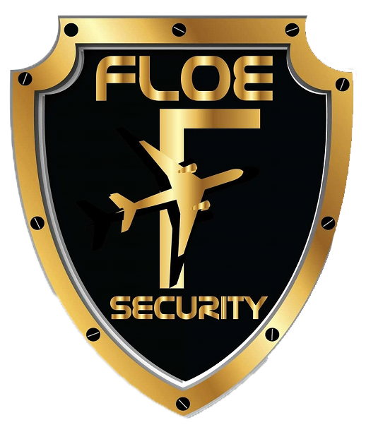 Floe Security Logo