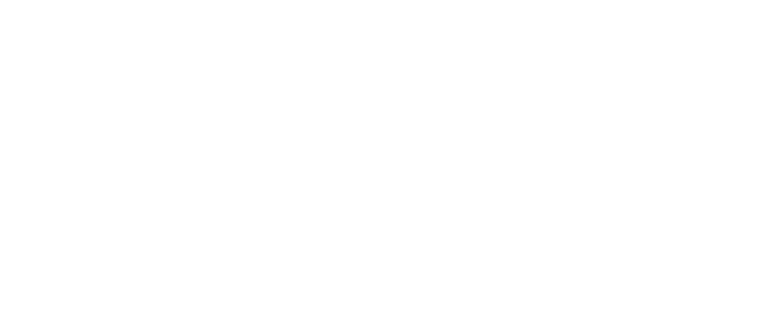 Momentum Outsourcing Virtual Agency