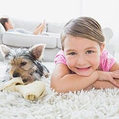 Dog and Little Girl on The Carpet — Gilbert AZ —  All State Carpet & Tile Care