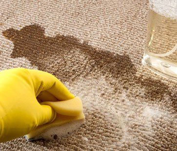 Cleaning The Stain on Carpet — Gilbert AZ —  All State Carpet & Tile Care