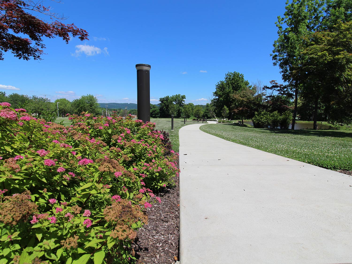 Drive Way with Nice Plants — Lehigh Valley, PA — Valley Builders LLC