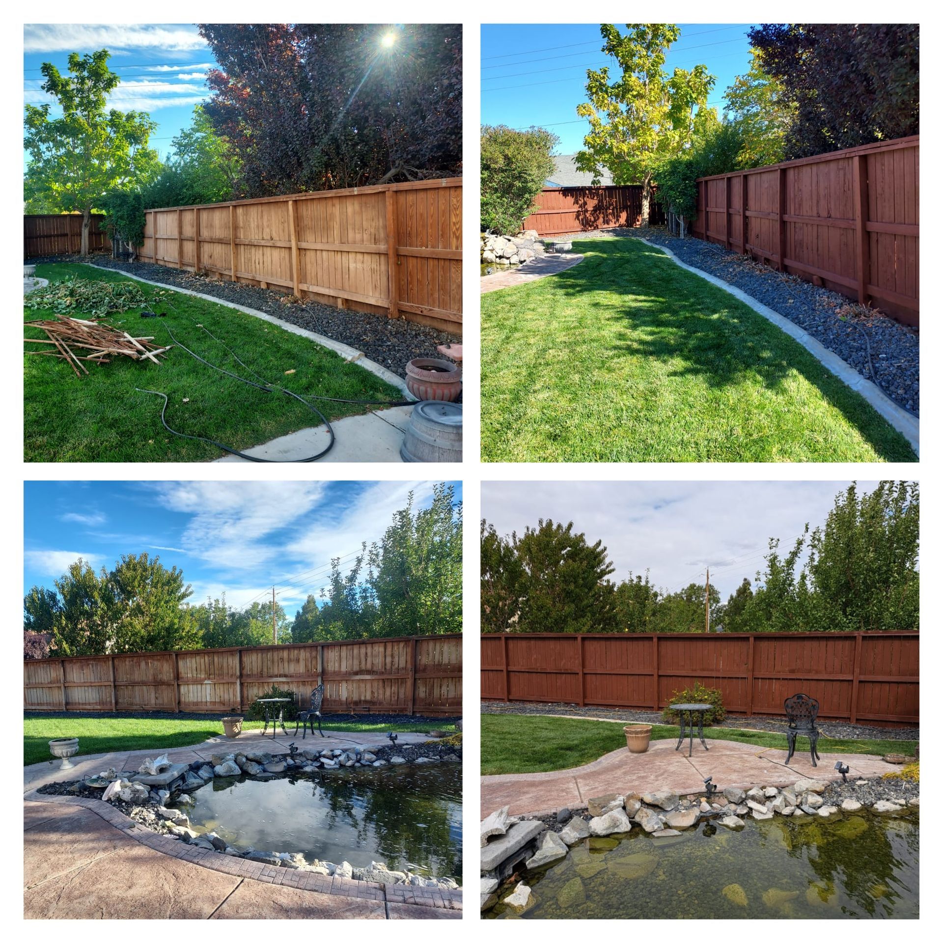 A collage showing a backyard before and after staining the wooden fence and cleaning the koi pond.