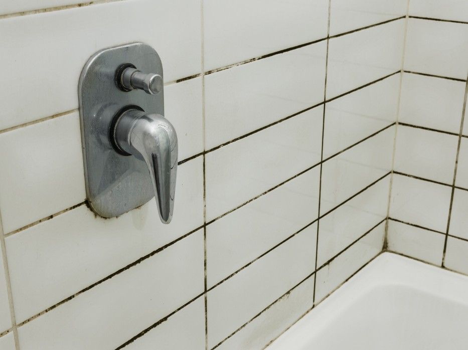 mould and dirt on tiles in a bathroom in Derby