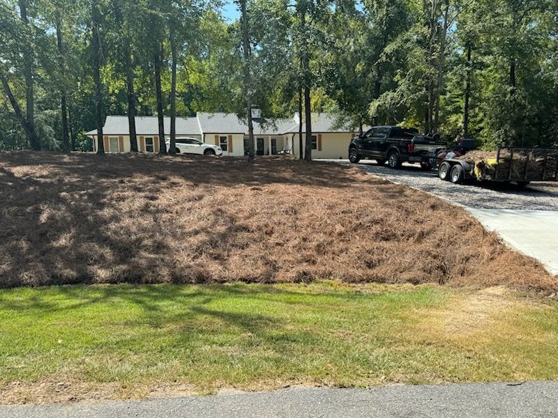 A house is sitting on top of a hill next to a driveway surrounded by trees.