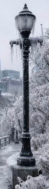 iced over lamp post with frozen foliage surrounding