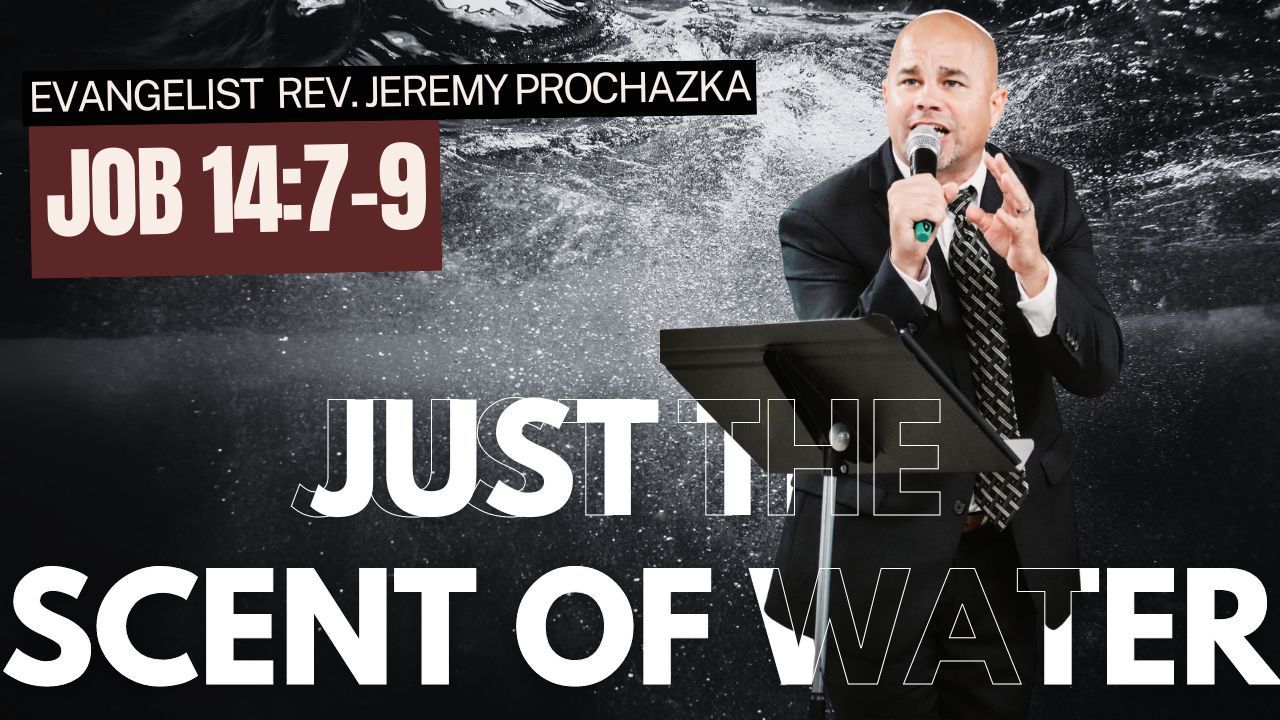 Just the Scent of Water