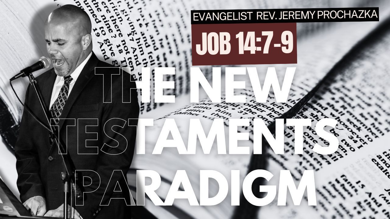 The New Testaments Paradigm