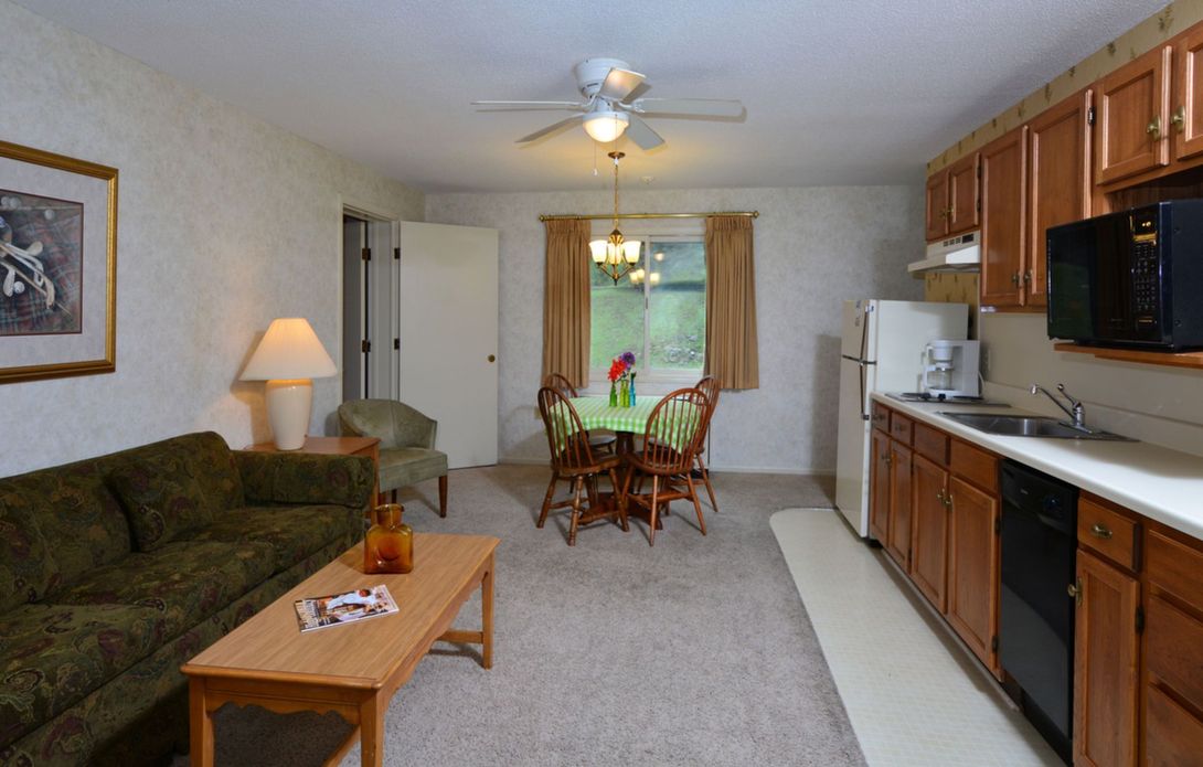 Living room with sofa, table, dining table, and small kitchen with appliances.