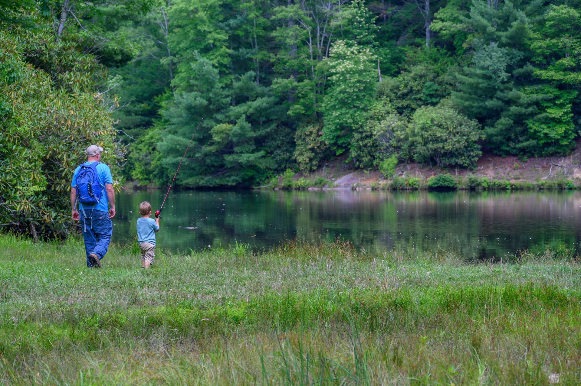 Man and child walk near a lake, surrounded by green grass and trees.