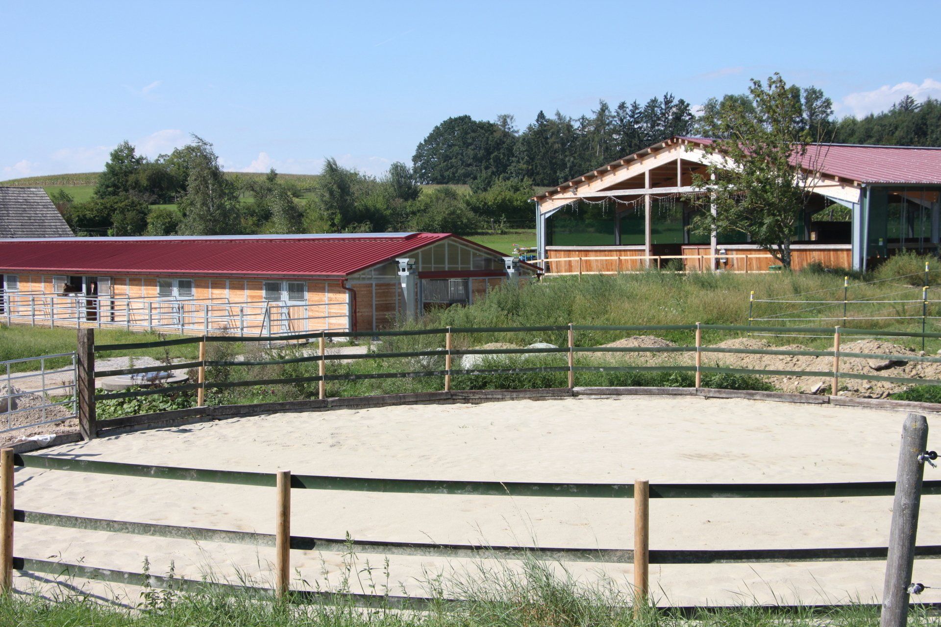 360° Trainingsplatz Pferde