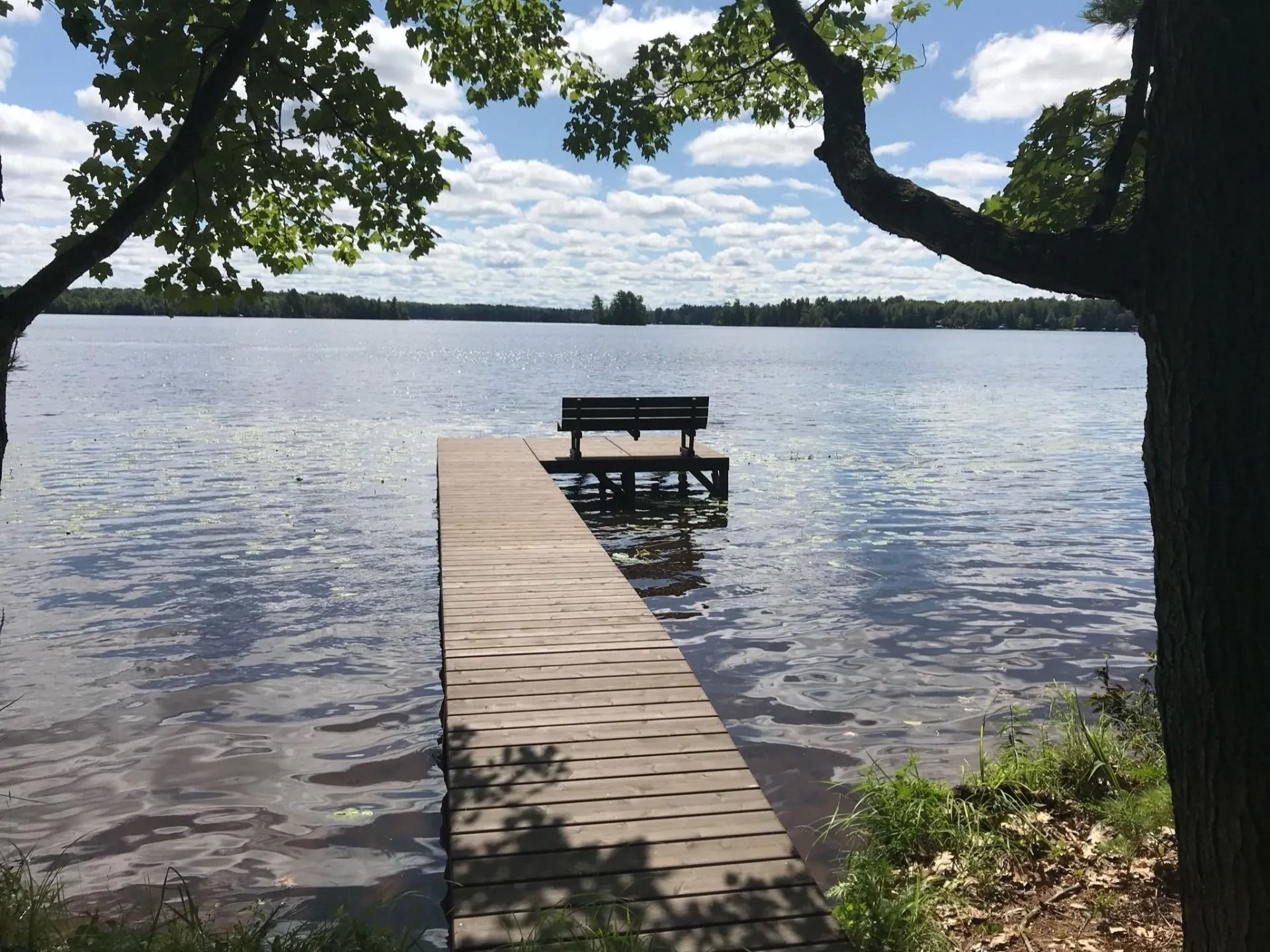 A wooden dock with a bench extends into a calm, blue lake on a sunny day, framed by overhanging tree branches.
