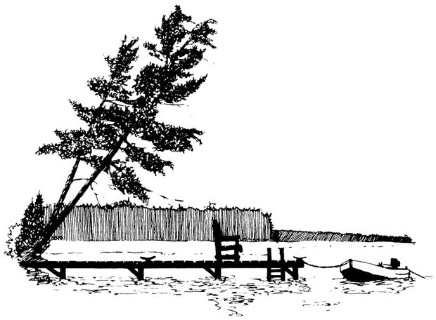 A line drawing of a wooden dock extending into water, with a leaning pine tree, a chair, and a small boat nearby.