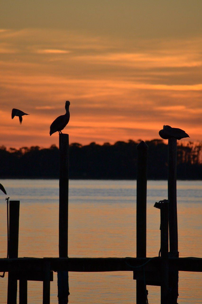 Beautiful Sunset Destin