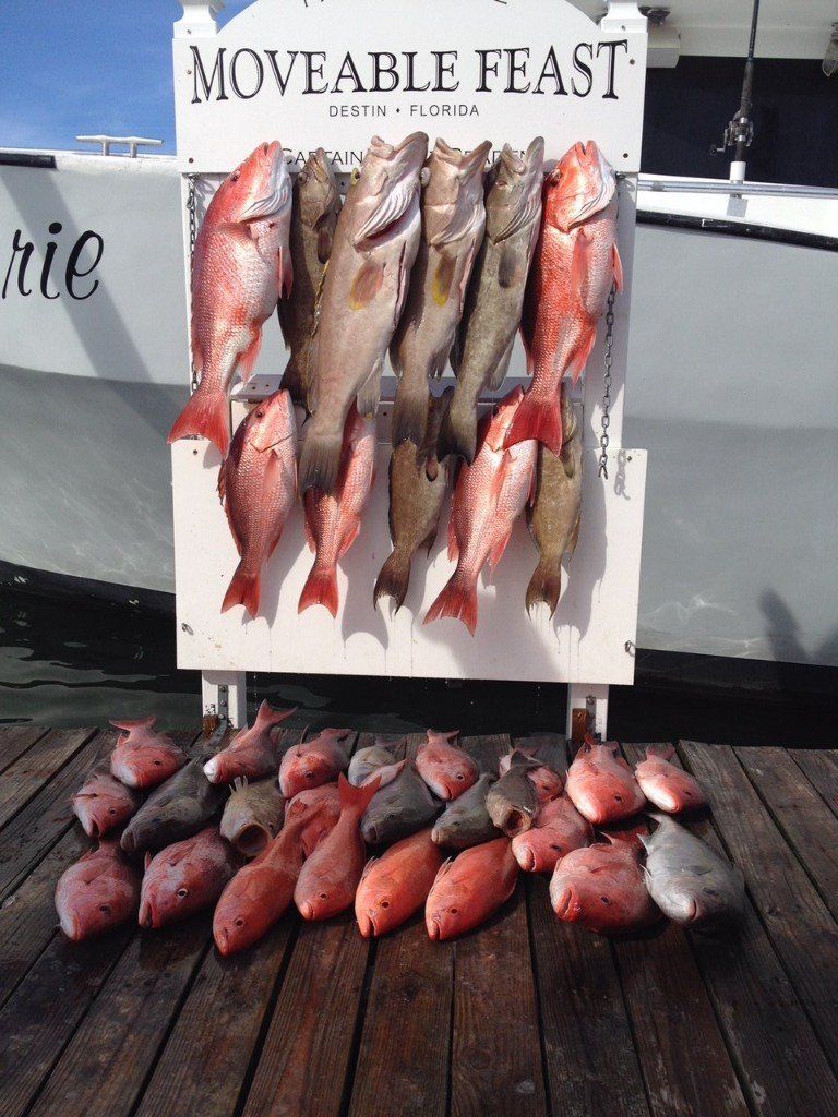 Destin Charter Fishing