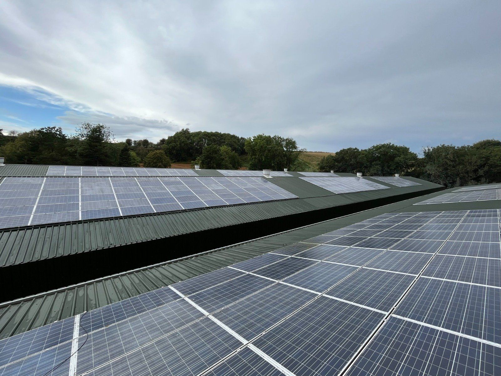 A roof with a lot of solar panels on it