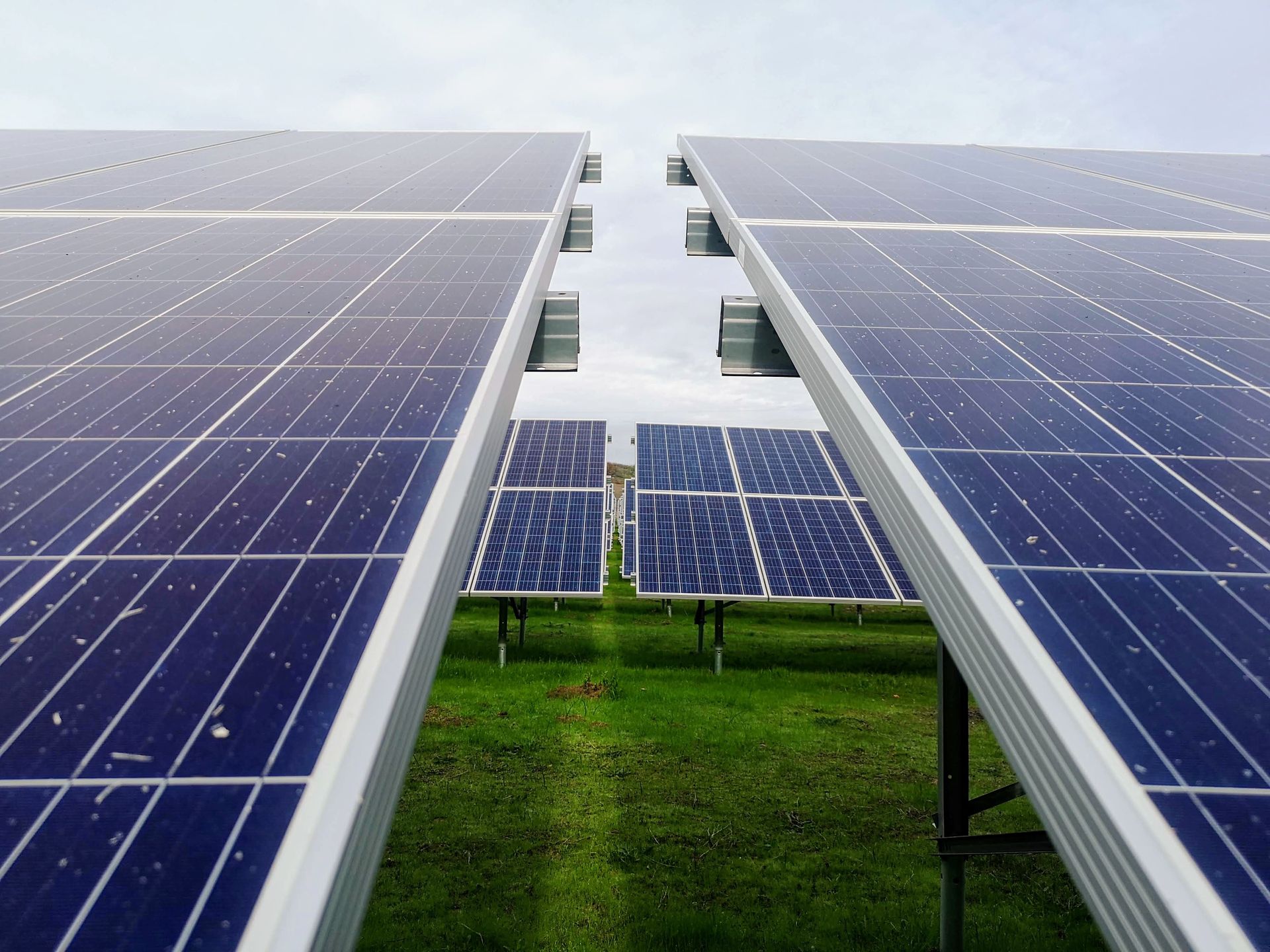 a row of solar panels are lined up in a field