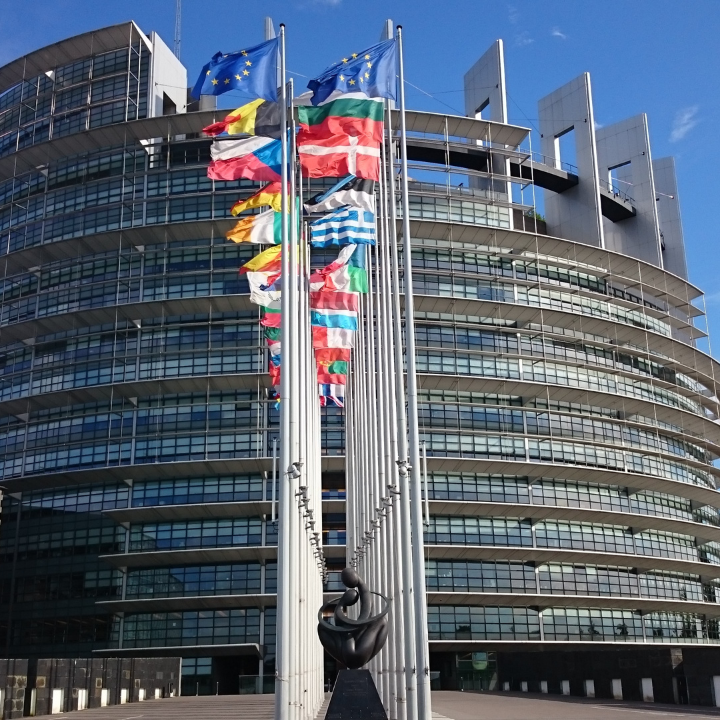 A large building with many flags flying in front of it