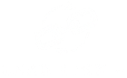 Lead Linx LLC logo containing text and the symbol of 3 chain links connected together
