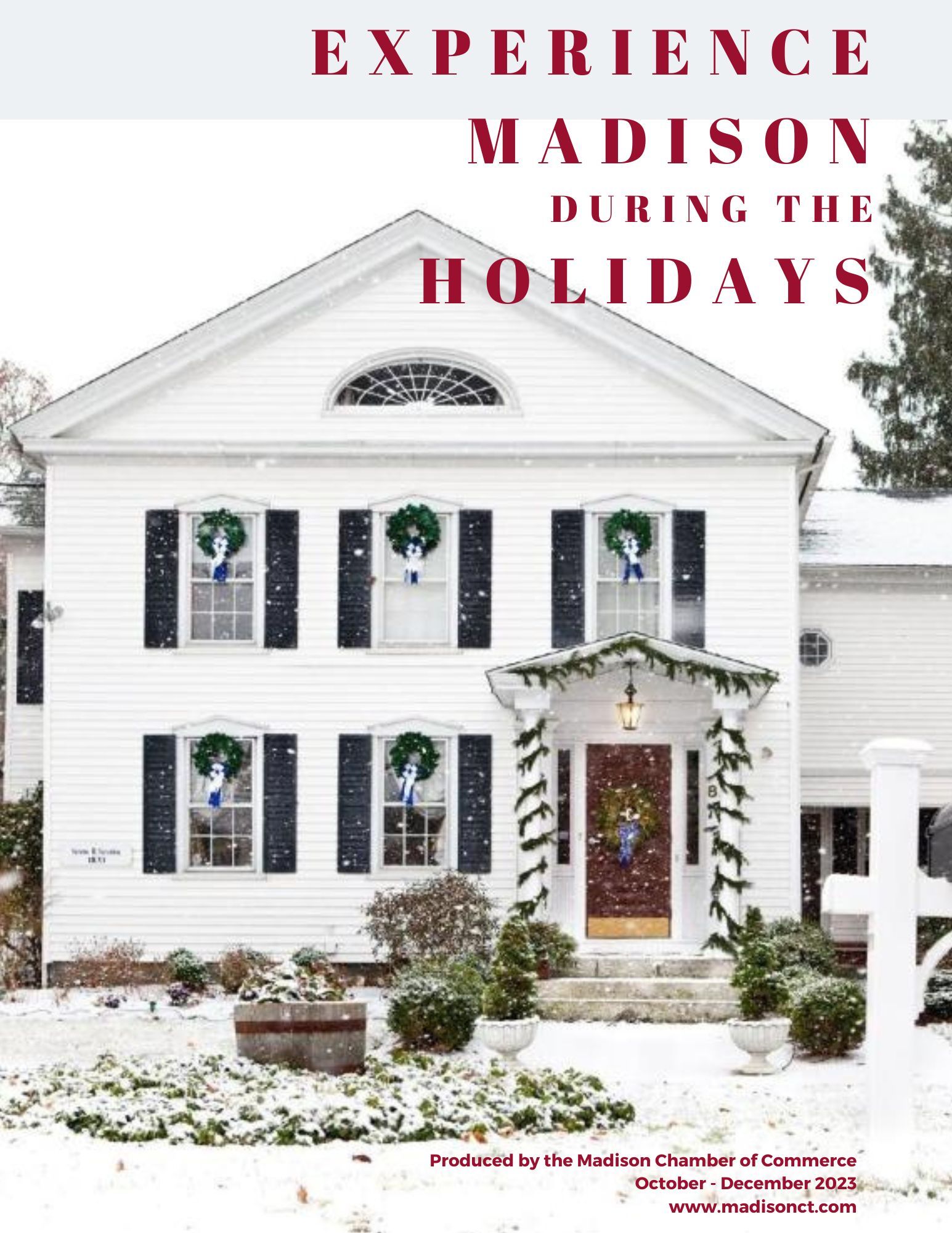 madison ct library events schedule