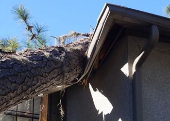 A tree branch has fallen on the side of a house