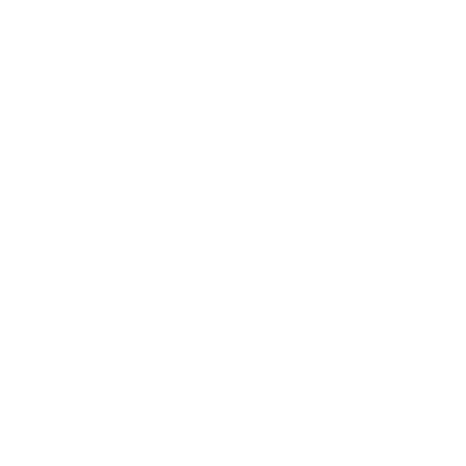 A white icon of a padlock