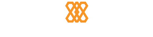 BNL HGIS logo. Letters in light gray, with an orange patterned shape in the middle.