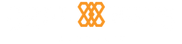 BNL HGIS logo. Letters in light gray, with an orange patterned shape in the middle.
