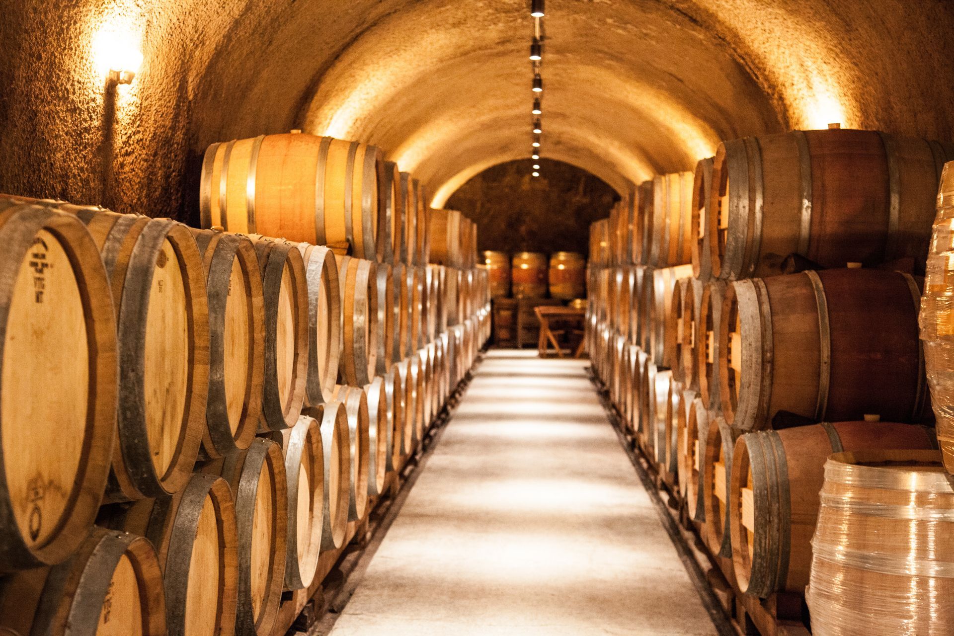 A row of wooden barrels are lined up in a wine cellar