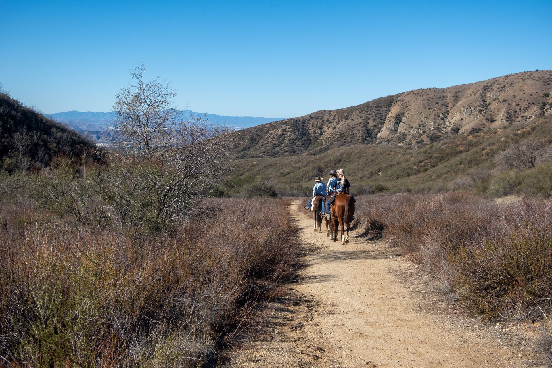 A group of people riding horses down a dirt path.