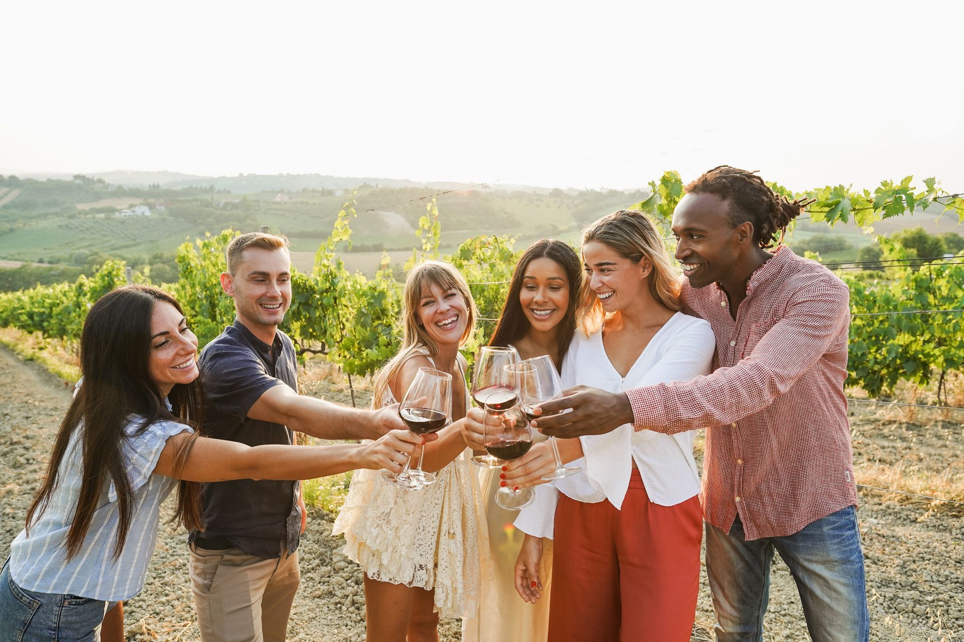 A group of people are toasting with wine glasses in a vineyard.