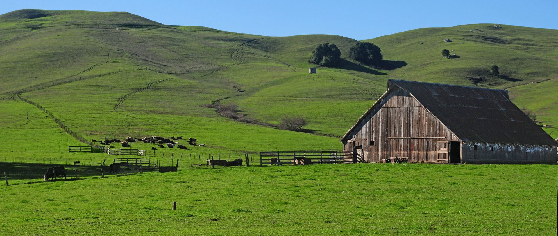 A barn is sitting in the middle of a grassy field.