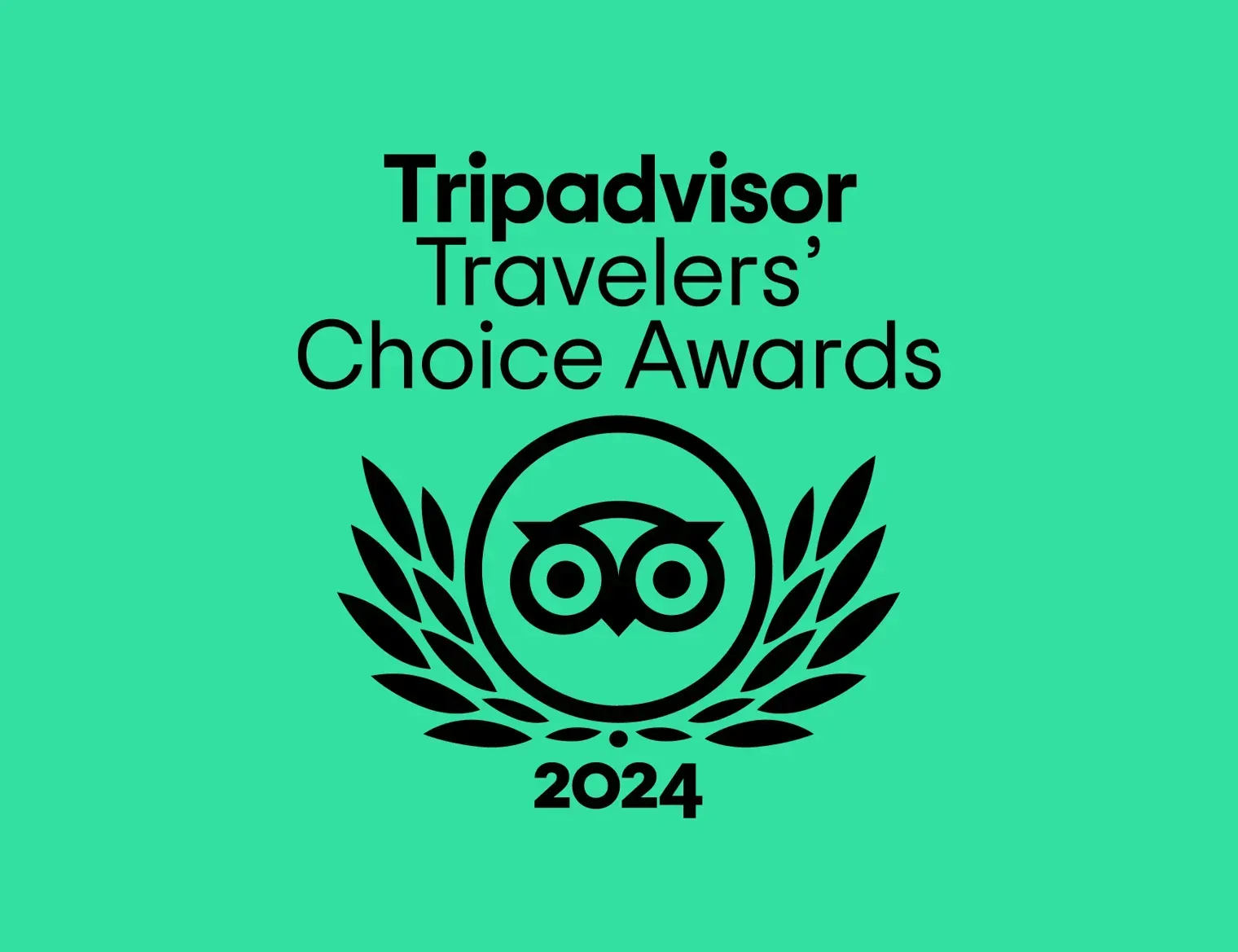Travelers choice 2024 logo on a green background