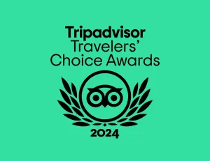 Travelers choice 2024 logo on a green background