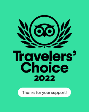 Travelers choice 2022 logo on a green background