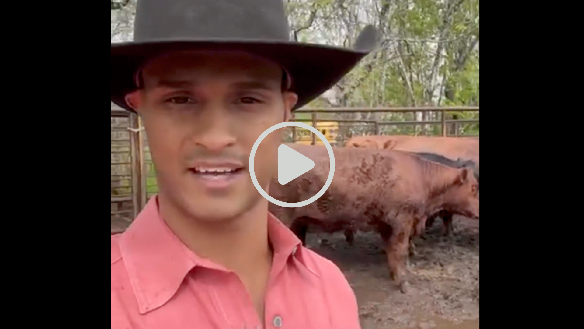 grass fed beef labels