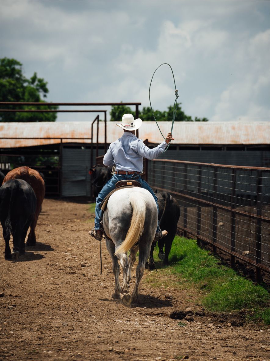 Latest News Highlight