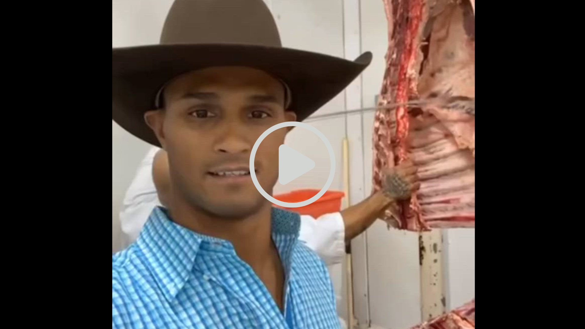 christmas gift thomas cattle