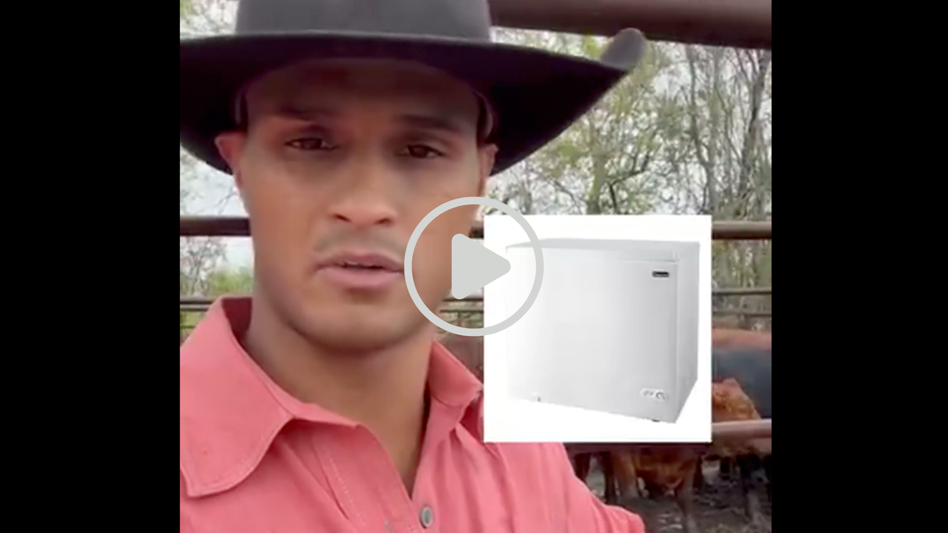 space freezer quarter, half, whole steer