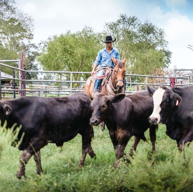 Thomas Cattle Company Skinny Can Koozie