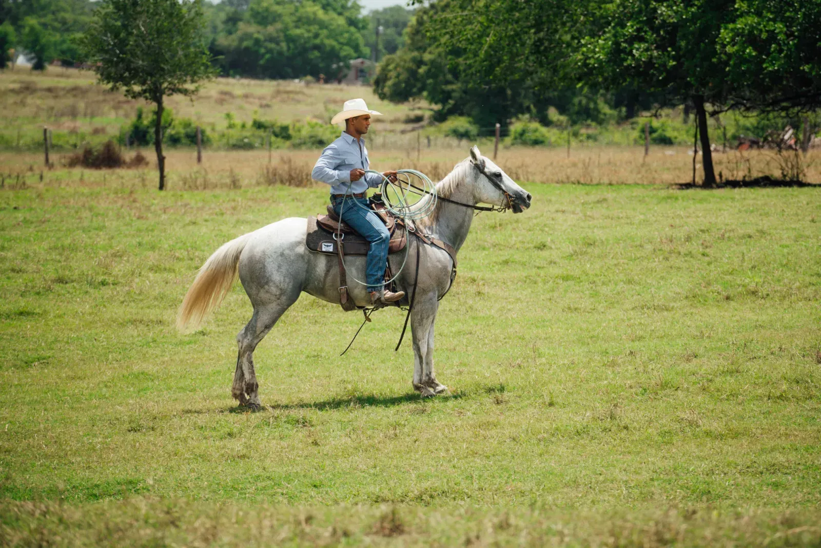 Ranch cowboy preparing cattle at Thomas Cattle & Catering.