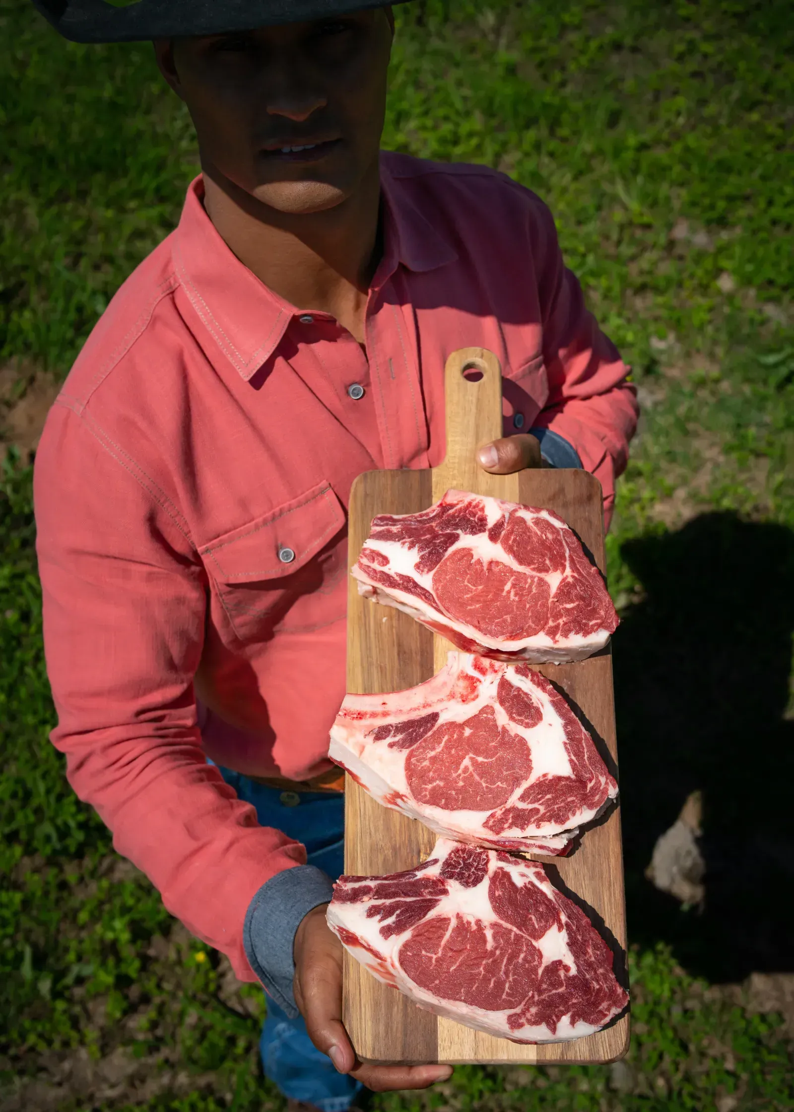 Cattle grazing freely on open pasture at Thomas Cattle ranch.